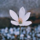아름다운교실 지역아동센터 이미지