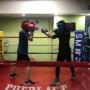 상무S복싱클럽 이미지