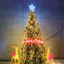 라이트디자인 이미지