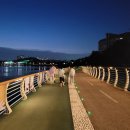 기흥호수공원(생태) 이미지