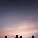 (주)갈릴리농원 | 4월 일상, 어미새가 노래해요(위시 앙콘가고 싶다)