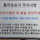 아더필라테스&플라잉요가 네이버블로그