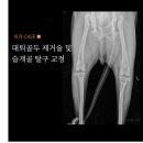 서창사랑동물의료센터 이미지