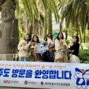 팻팸제주 이미지