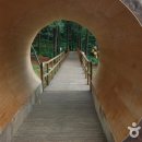 국립청태산자연휴양림 이미지