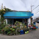 통통(Tong Tong) 이미지