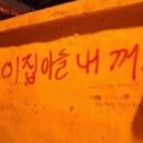 청춘 [푸를 청, 봄 춘]