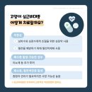 고양이입양소 이미지