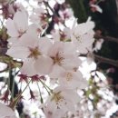 장유중학교 이미지