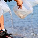 인천수산 이미지