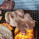 안면독스애견펜션 이미지