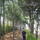 동작충효길 1코스 고구동산길 이미지