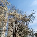 솔뫼공원 이미지