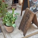 (주)몬스터넷 | 망원동 맛집, 일식당 파동 평일 점심 방문 후기