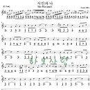시인과나