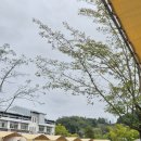 아띠모리 | 추석캠! 아띠에서♡