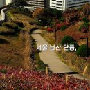 남산공원길2 | 서울 명동 가볼만한곳 남산 공원 단풍 실시간 백범광장 성곽길