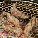 한판하이소1KG