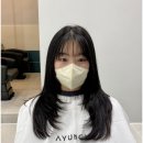 바미살롱 이미지