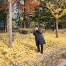 세탁소가는길 이미지