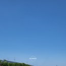 강변길입구 게이트 | 대구 근교 꽃구경 추천! 하양 장미터널 경산 대부잠수교 실시간 후기