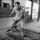 아들농장 이미지