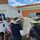 곡성-255 이미지