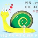 신현동-13 이미지