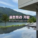 자미트리 힐링센터 | 남이섬 근처 카페 골든트리I 가평대형카페 북한강뷰카페 가족 힐링 여행 솔직 방문후기