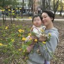 이유영 카카오 검색결과