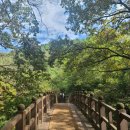 티제이 번역· 일반 행정사 사무소 이미지