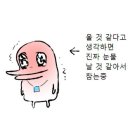 나 안아줘 바오들 이미지