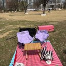 삼성고등학교+나들목 공원 횡단보도 앞 | [2025] 힐링 피크닉이랑 뚝섬에서 힐링 피크닉하기 ㅣ뚝섬한강공원대여텐트 힐링 피크닉