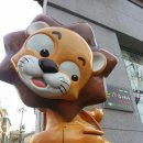 신광동물병원 네이버블로그