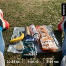 평화 | 손기정 평화 마라톤 후기