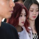 몬스터프리 이미지