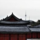 덕궁