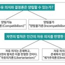 자유의지