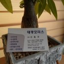 대광모터스 이미지