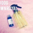 지오디독 이미지