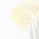 공간의움직임 이미지