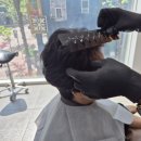 어썸헤어 | 일산 장항동미용실 라페스타미용실 어썸헤어 염색후기 자연갈색으로 분위기 체인지 성공