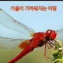 임종임님을 기리며... 이미지