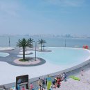 배곧한울공원 이미지