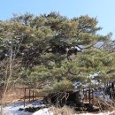 원통로177번길 이미지