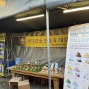 군산바다캔들 이미지