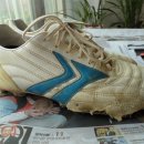 평촌농장 이미지