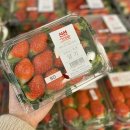 보일농수산 이미지