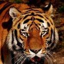 복1리경로당 이미지