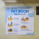 안양대교(럭키아파트 방면) | 완도 제주 배편 차량선적 후기, 강아지와 차 싣고 제주도 가기